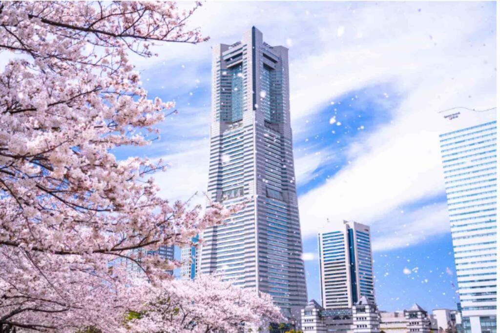 Discover Tokyo's Soul Your Cozy Japanese Escape! Tokyo