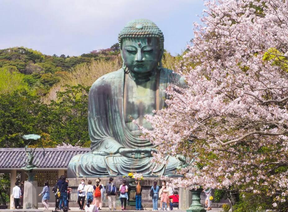 Discover Tokyo's Soul Your Cozy Japanese Escape! Apartment *