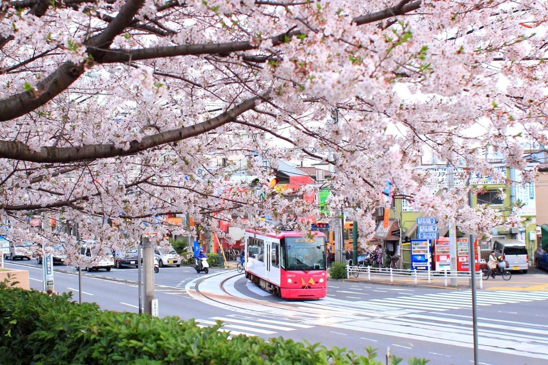 Bisk Park Higashijujo - Vacation 83637v Holiday home Tokyo