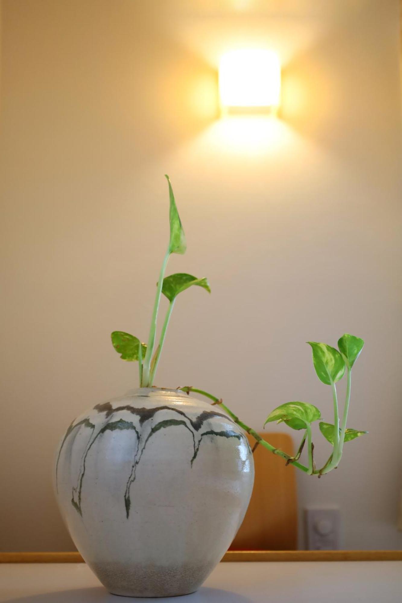 Apartment 尾久新築
