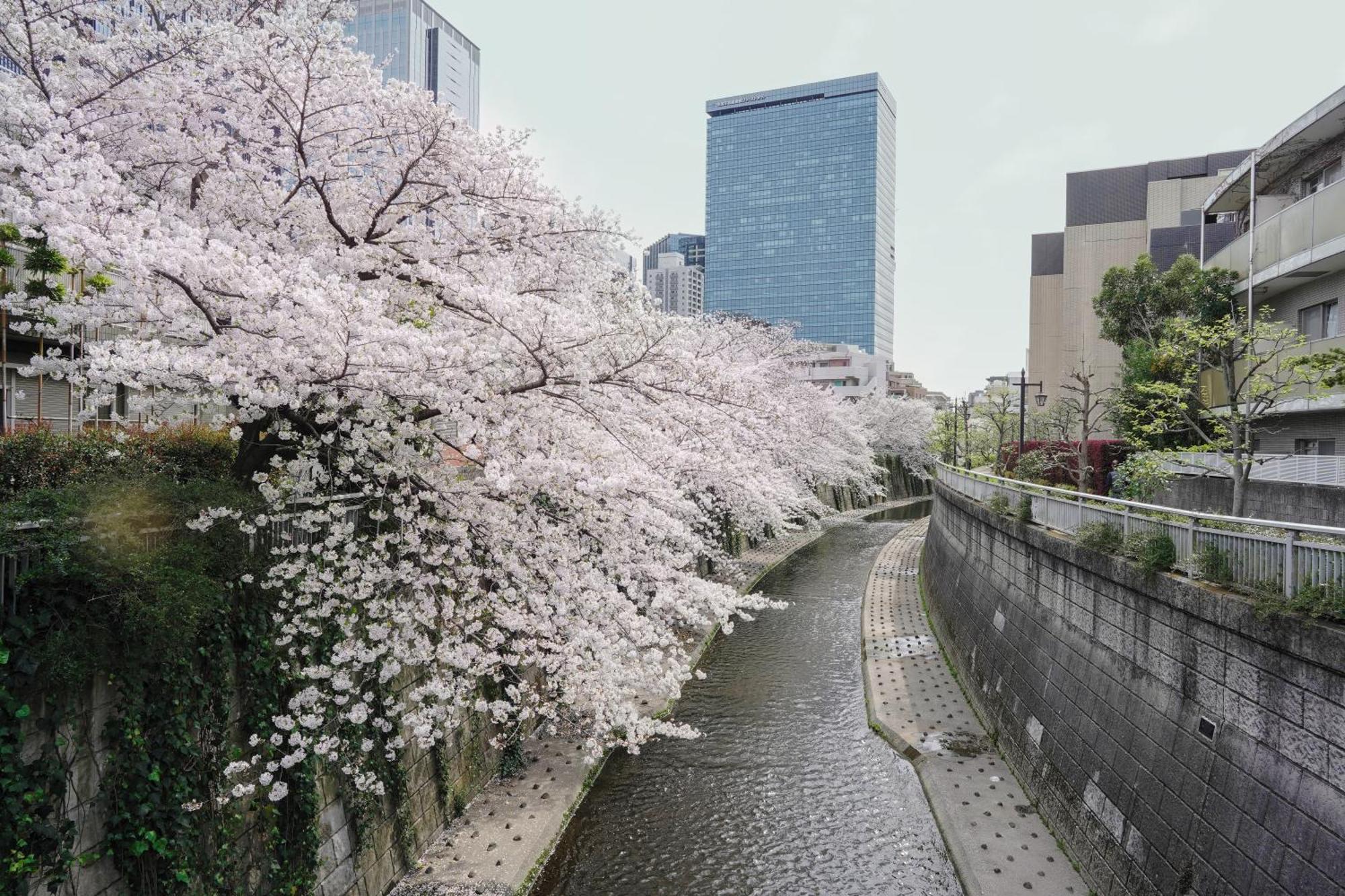 Close To Shinjuku!twin Beds,projector,appliances! * Tokyo