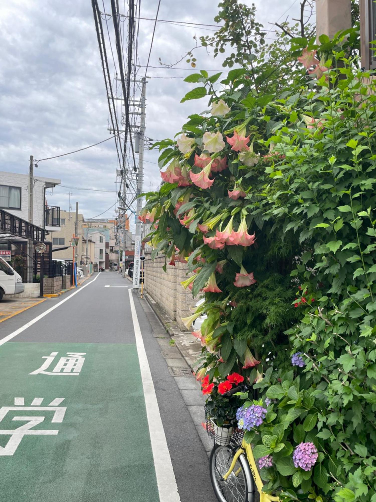 Apartment 新宿庭院の屋-shinjuku Garden -28 Square Meters King Size Bed Garden