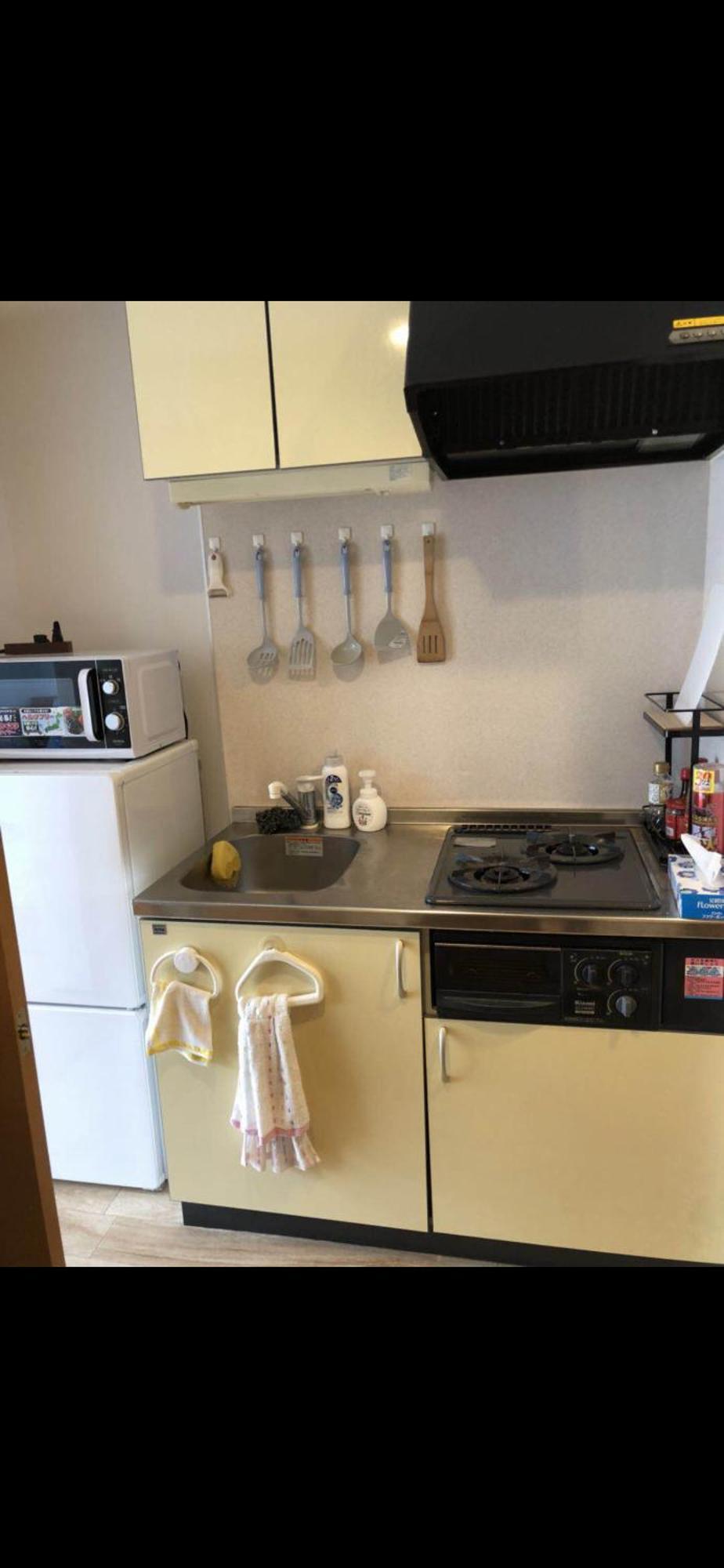新宿庭院の屋-shinjuku Garden -28 Square Meters King Size Bed Garden Apartment *