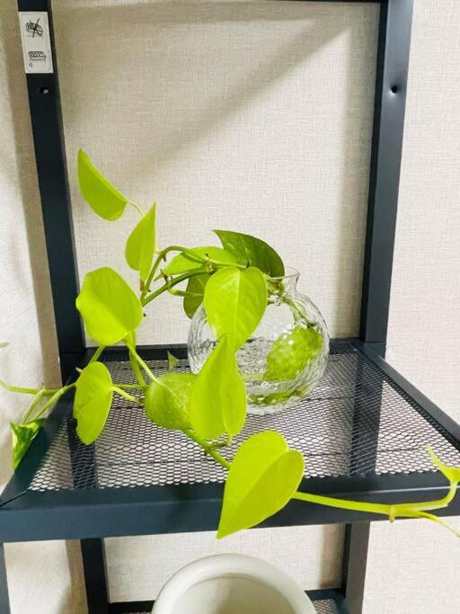 新小岩デメテル303