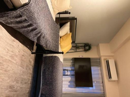 Apartment 日本の下町新小岩デメテル202