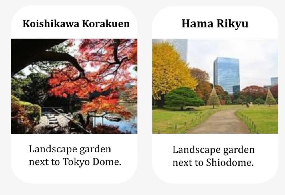 Shinjuku Area Convenient Access For Sightseeing *