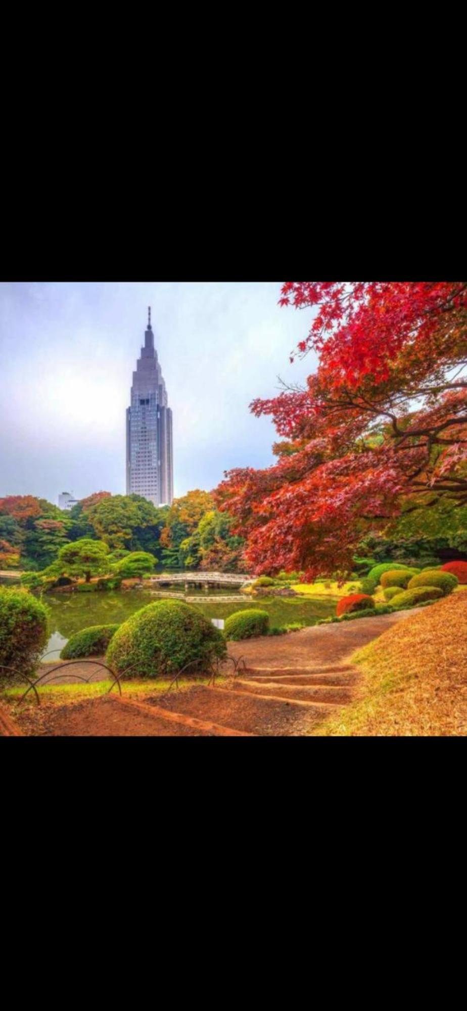 Apartment 新宿庭院の屋-shinjuku Garden -28 Square Meters King Size Bed Garden Tokyo
