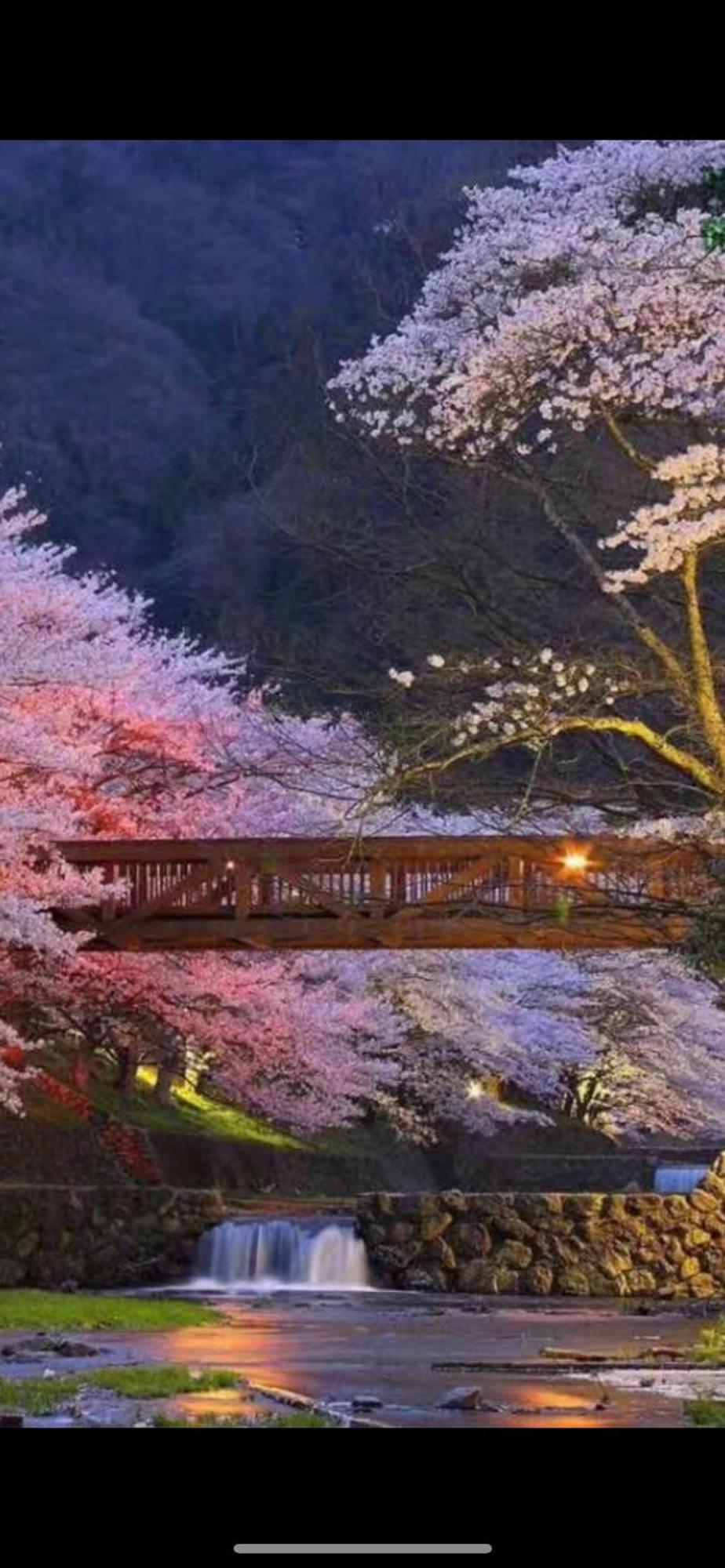 Apartment 新宿庭院の屋-shinjuku Garden -28 Square Meters King Size Bed Garden *