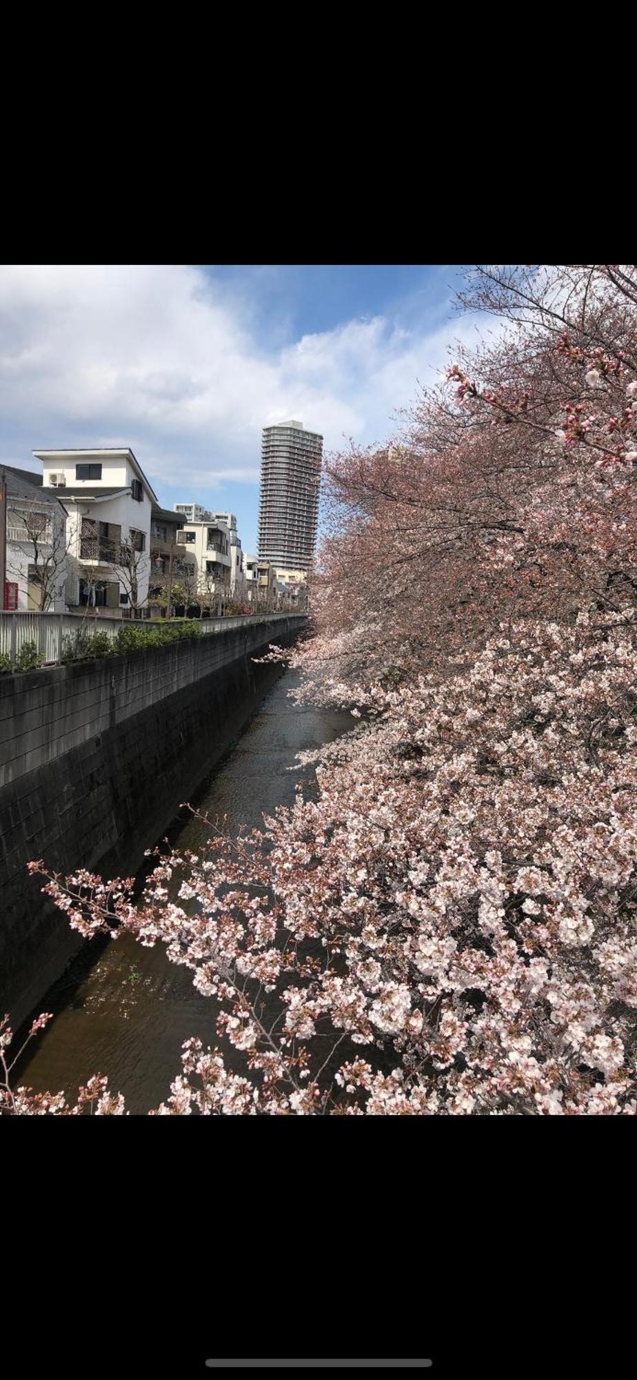 Apartment 新宿庭院の屋-shinjuku Garden -28 Square Meters King Size Bed Garden