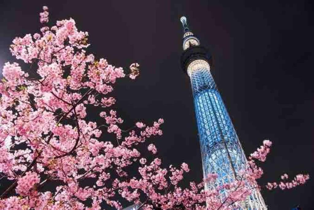 Luna House Asakusa Skytree * Tokyo