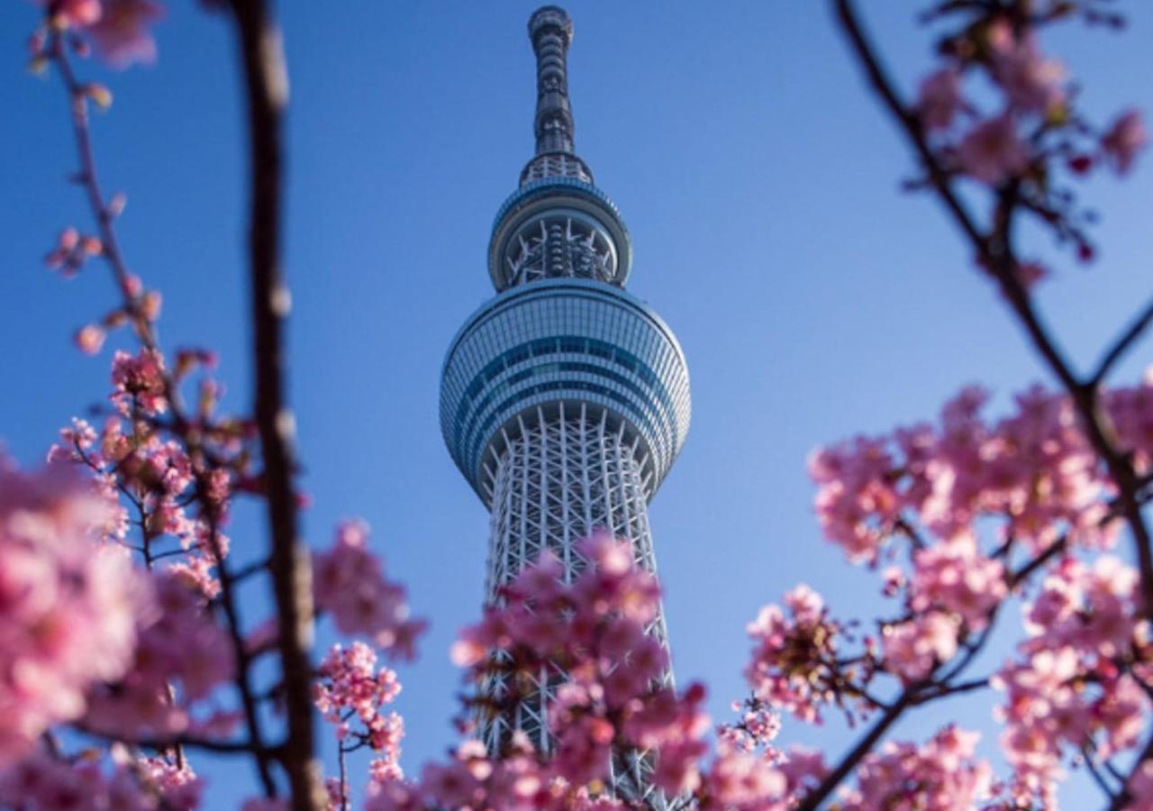 Japan House 押上 *