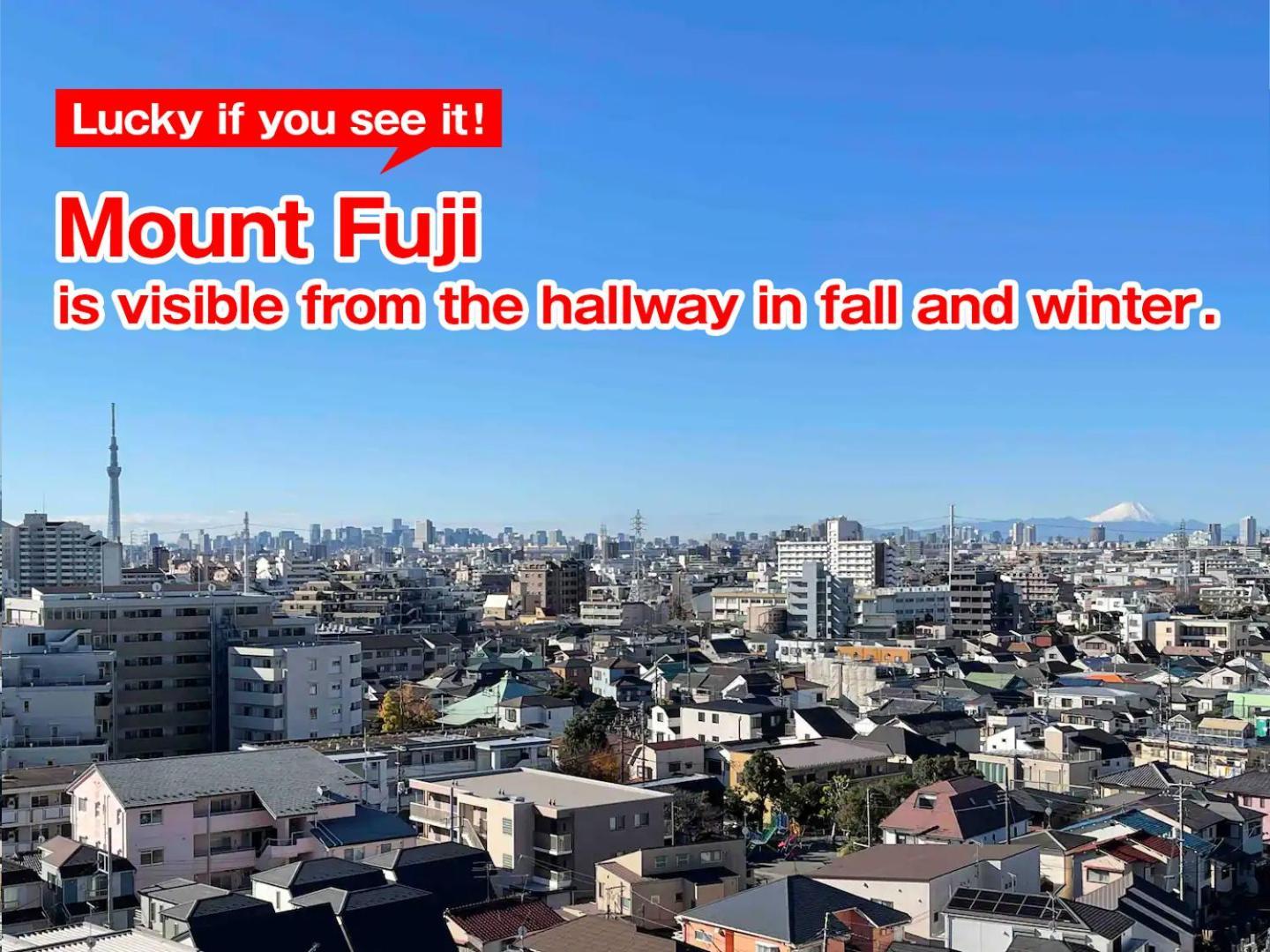 Apartment Sc Kameari 811 *