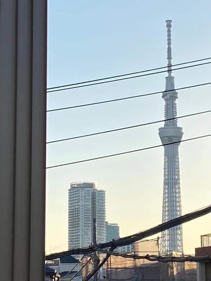 サクラ Tokyo