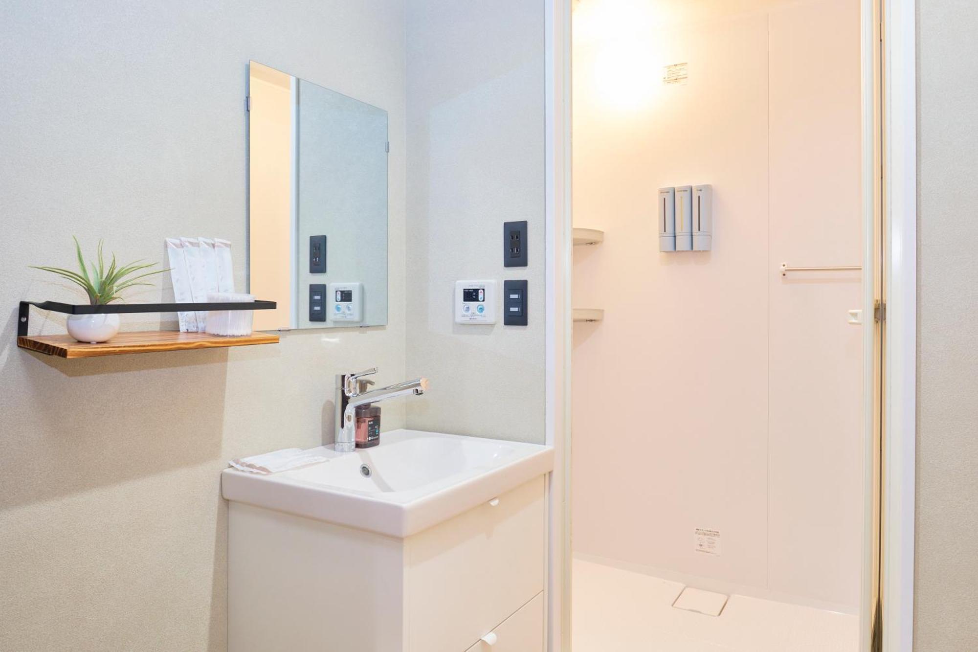 Olden Historic Town Newly Renovated Specious Apartment *