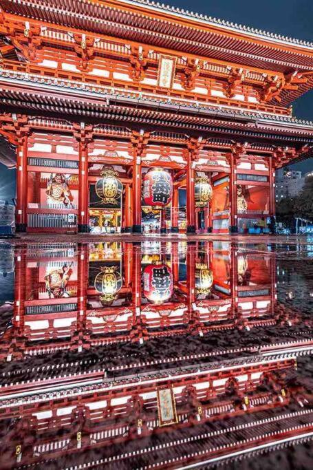 Panda Minowa Tokyo