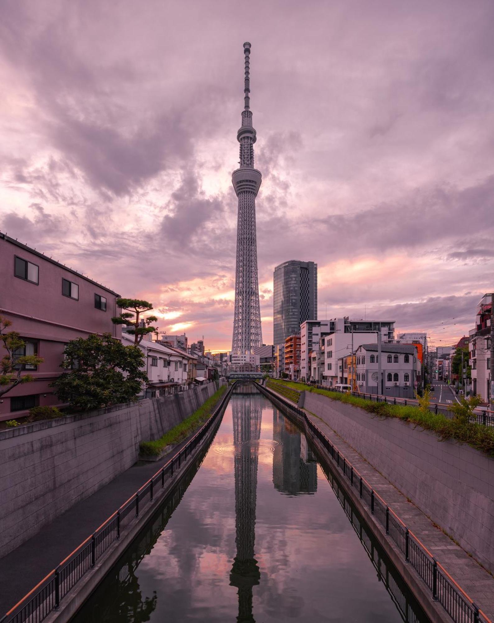 Sakura Apartment