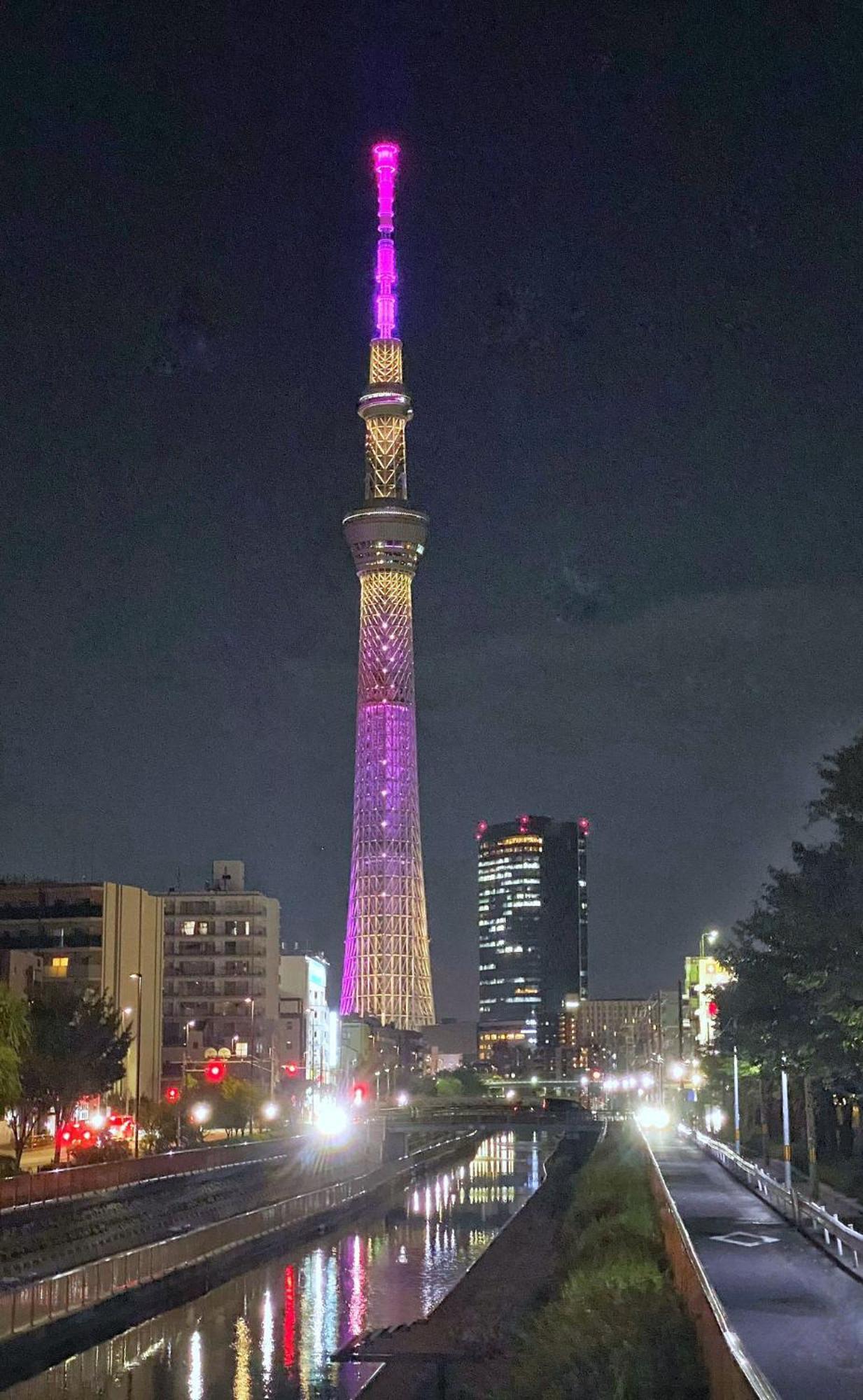 Sakura Tokyo