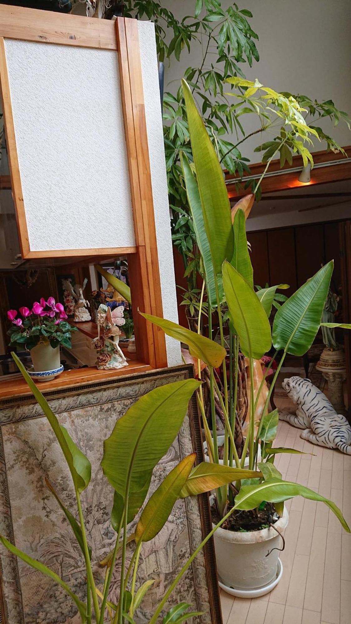 Guest house Setagaya-ku - House - Vacation 16505