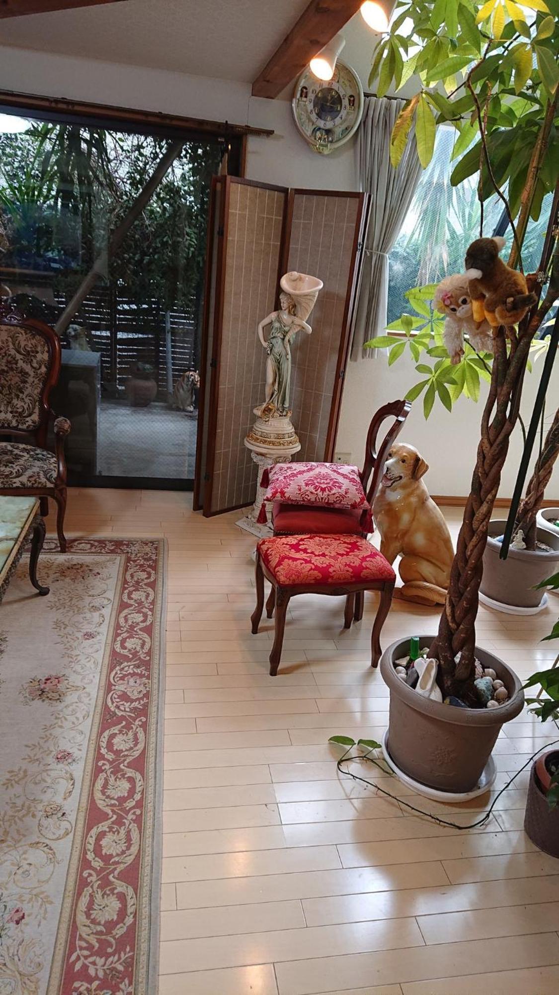 Setagaya-ku - House - Vacation 16505 Guest house *