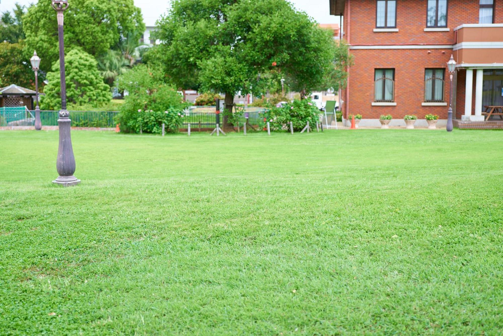 Sc Umejima 101 Apartment