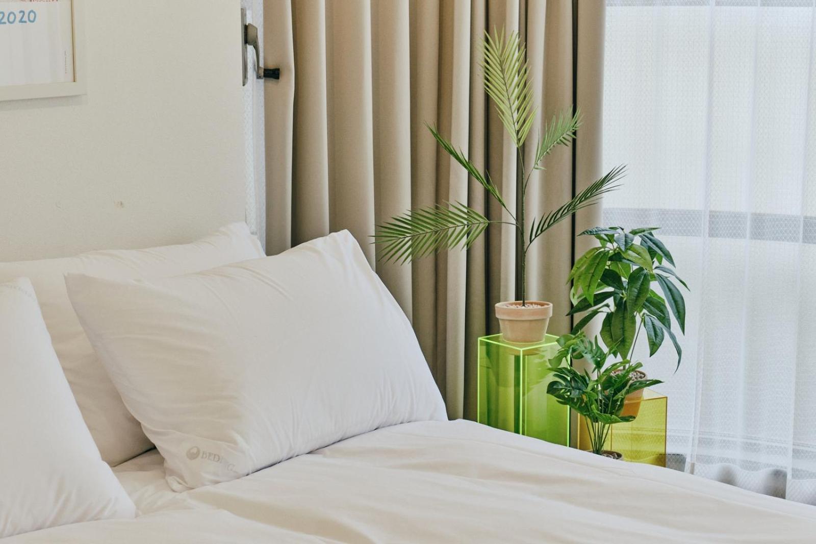 Kaikai House - Art, Design & Family In Shibuya Villa