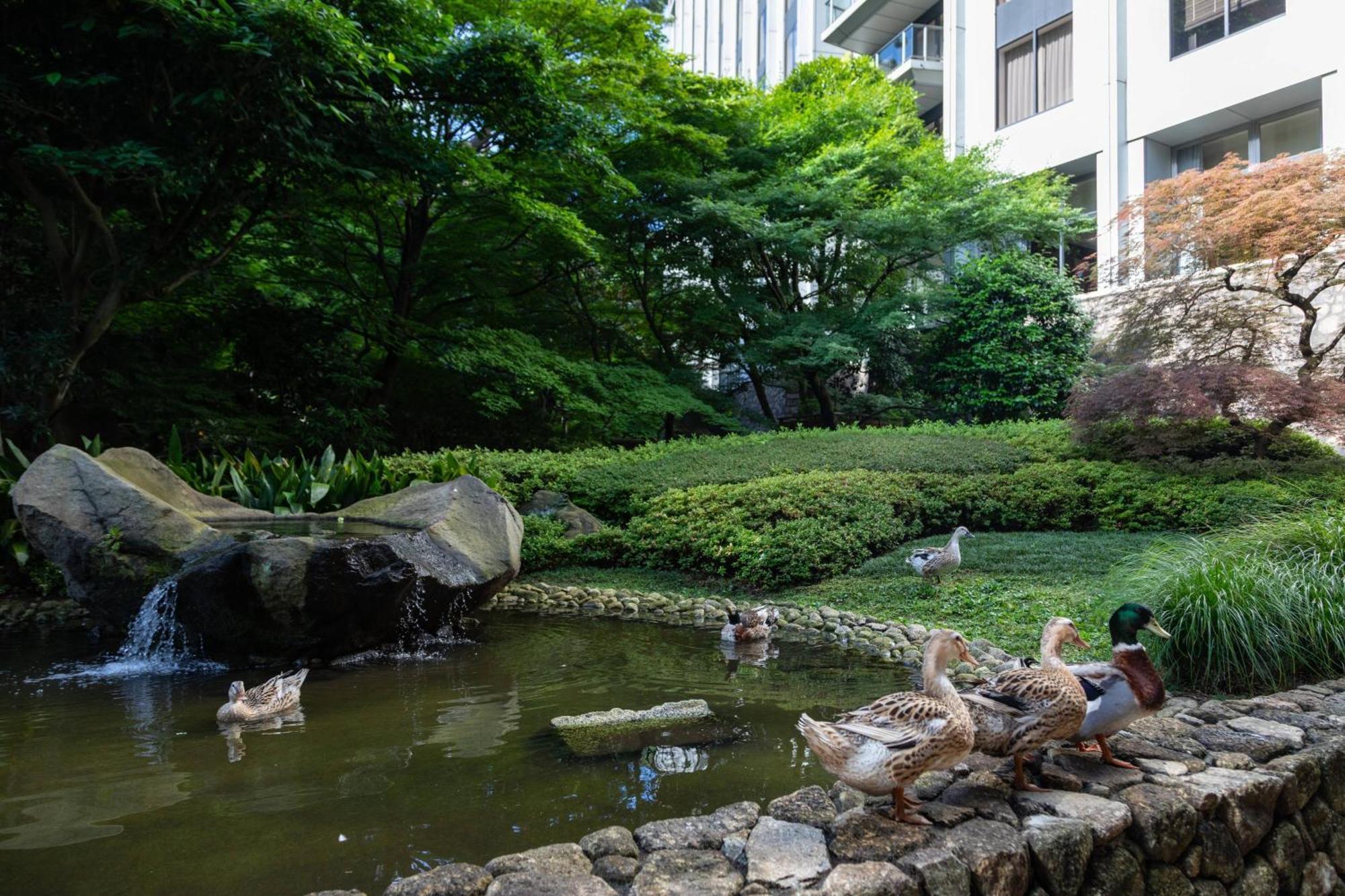Sheraton Miyako Hotel 5*