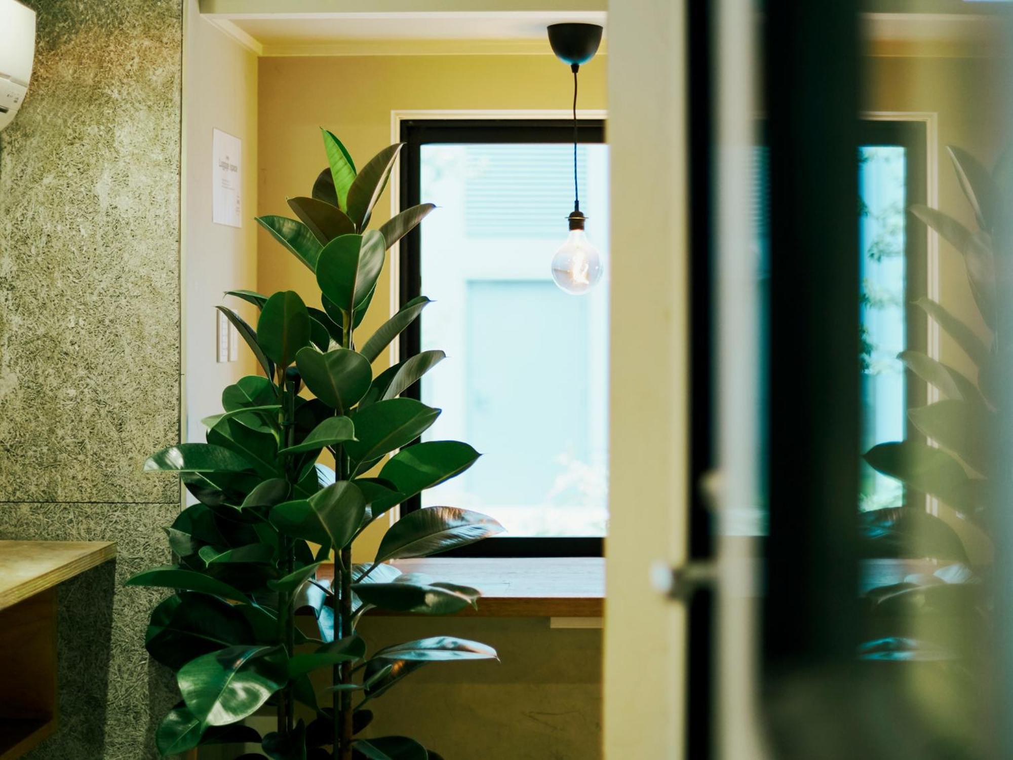 Hostel Akasaka Hive *