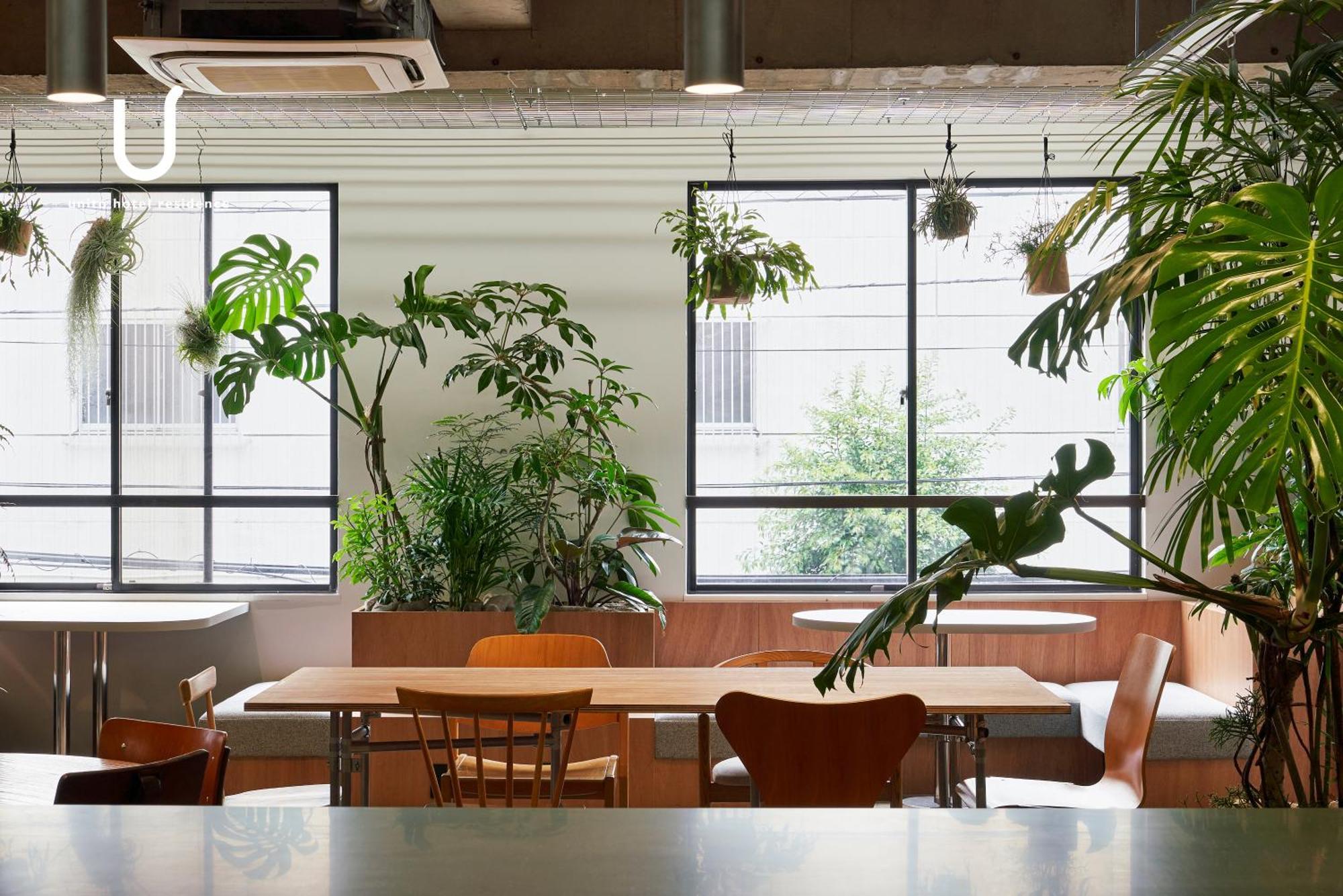 Hotel Ohashi Kaikan Shibuya 3*