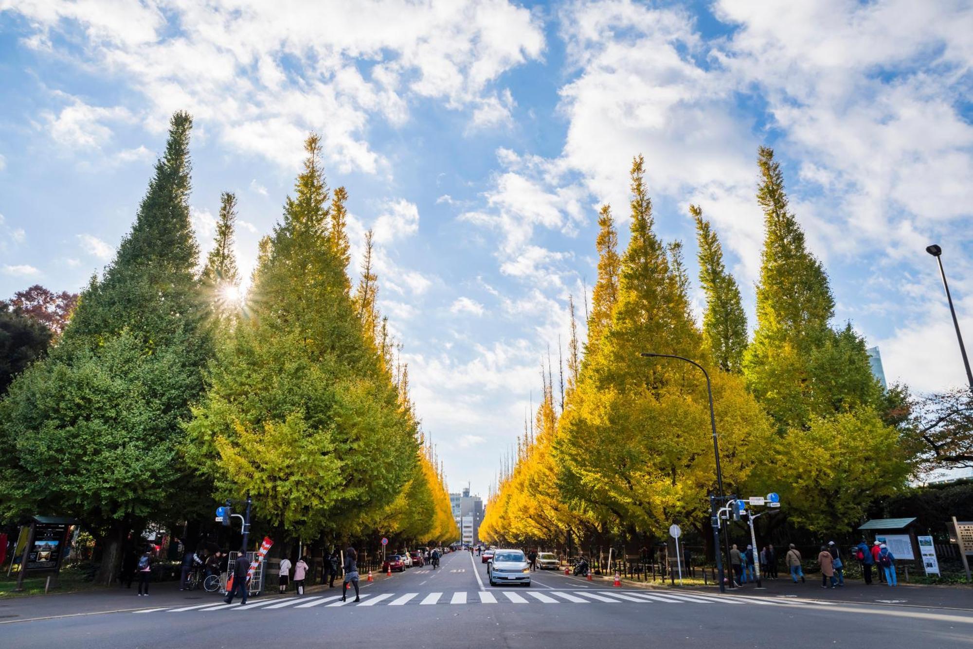 Hotel Illi Tex Aoyama