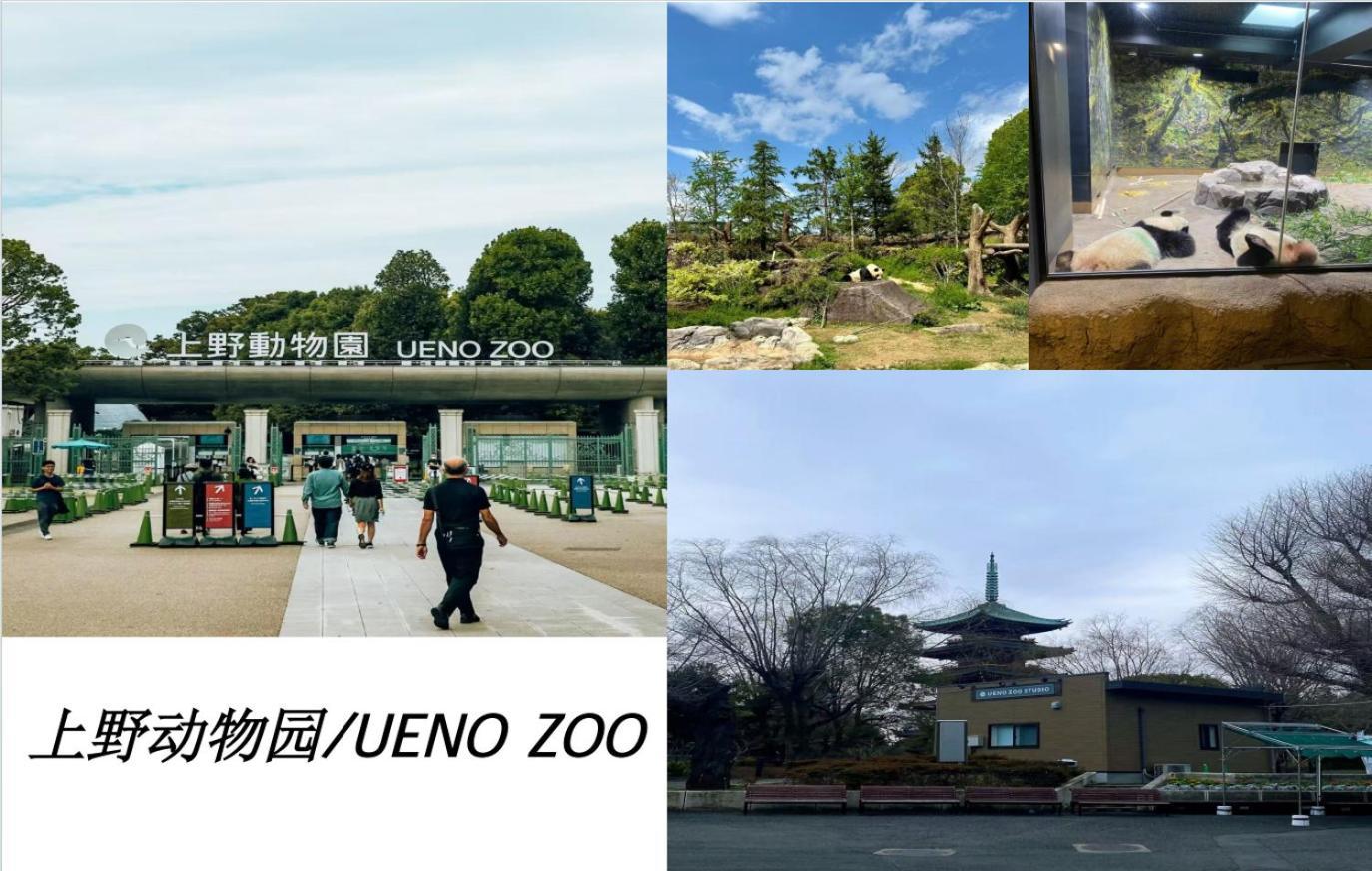 桜の川17 Ueno 5mins Ueno Zoo Three Storey Detached House Then 13 People Villa *