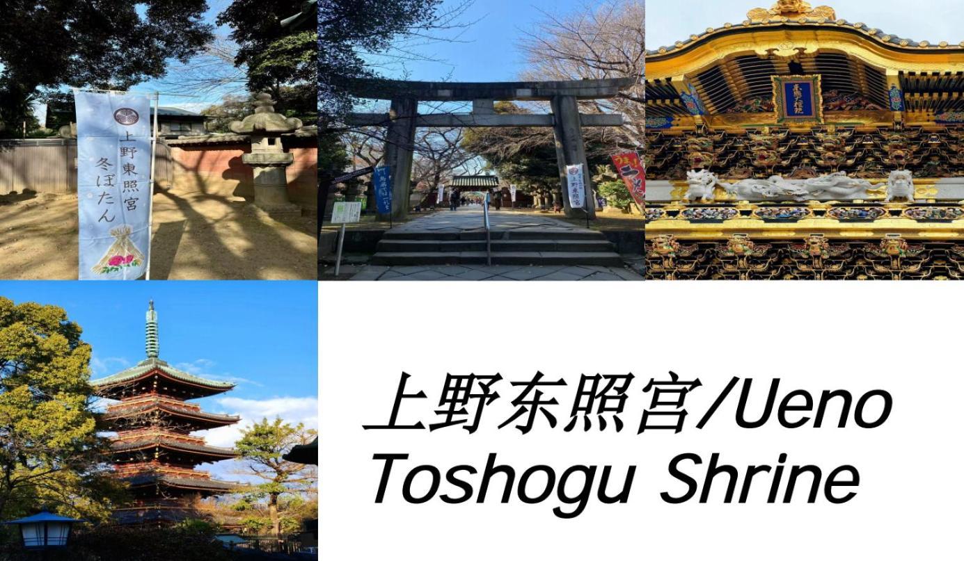 桜の川17 Ueno 5mins Ueno Zoo Three Storey Detached House Then 13 People Tokyo