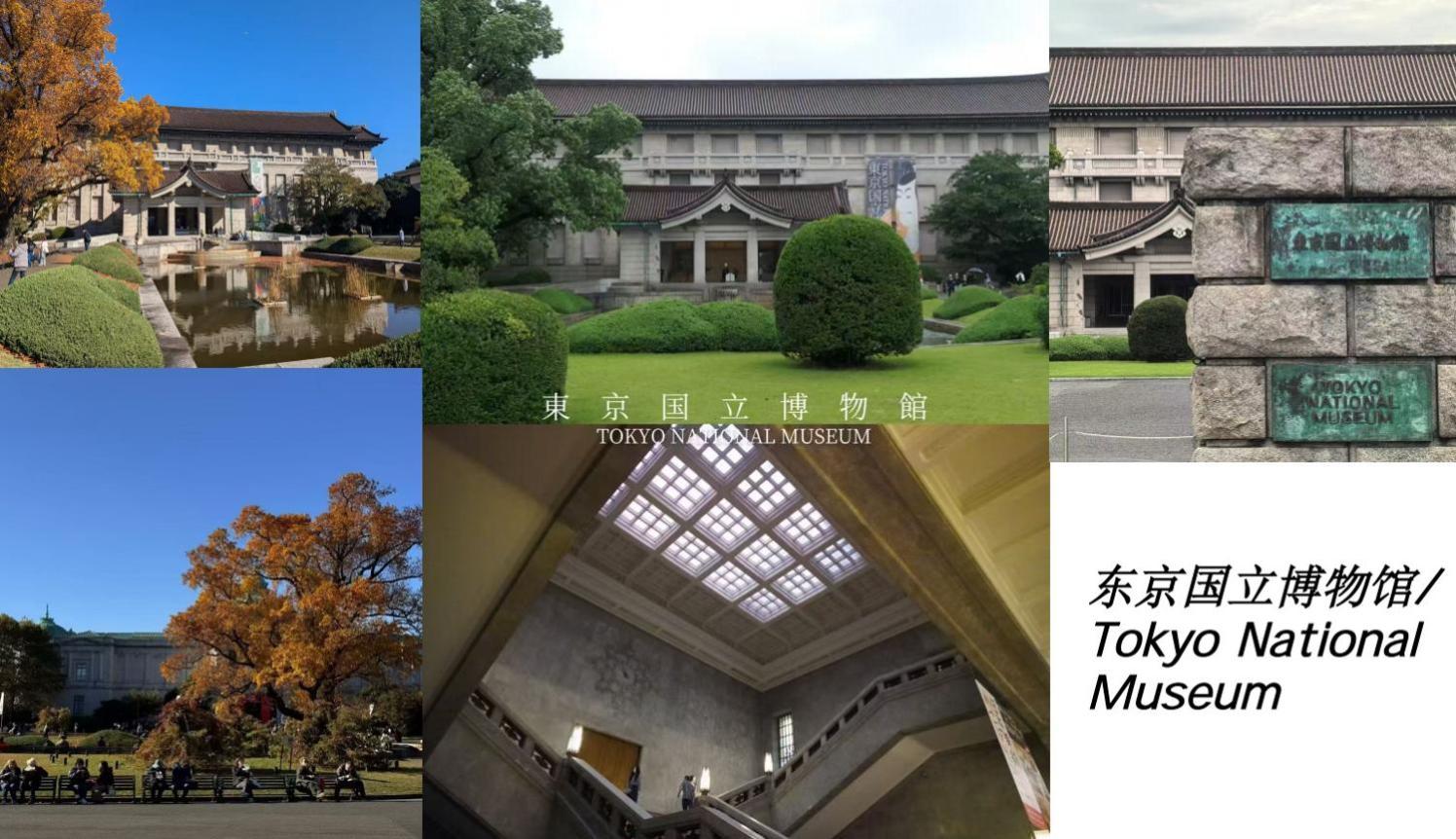 桜の川17 Ueno 5mins Ueno Zoo Three Storey Detached House Then 13 People Villa *