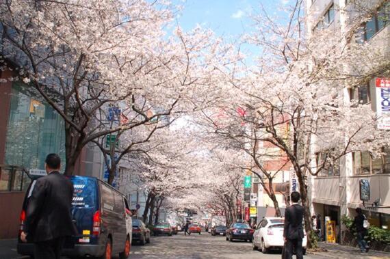 Shibuya 10min Walk Bright Modern 40sqm Apartment Tokyo