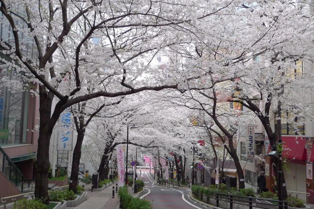 Apartment Shibuya 10min Walk Bright Modern 40sqm