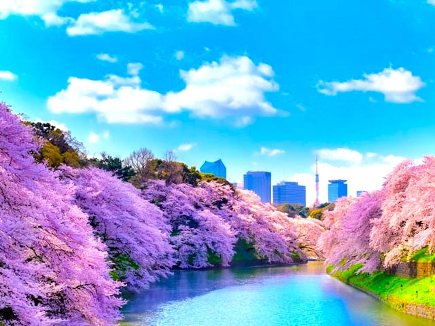 Apartment 1 Line To Asakusa! 5 Mins Walk From Togoshi-ginza Sta