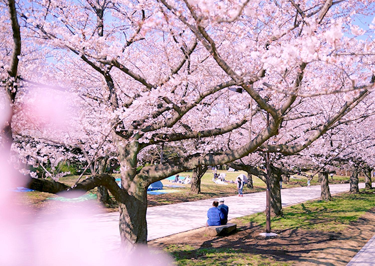 1 Line To Asakusa! 5 Mins Walk From Togoshi-ginza Sta Apartment Tokyo