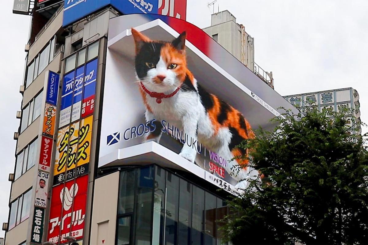 新宿区神楽坂近く大空间