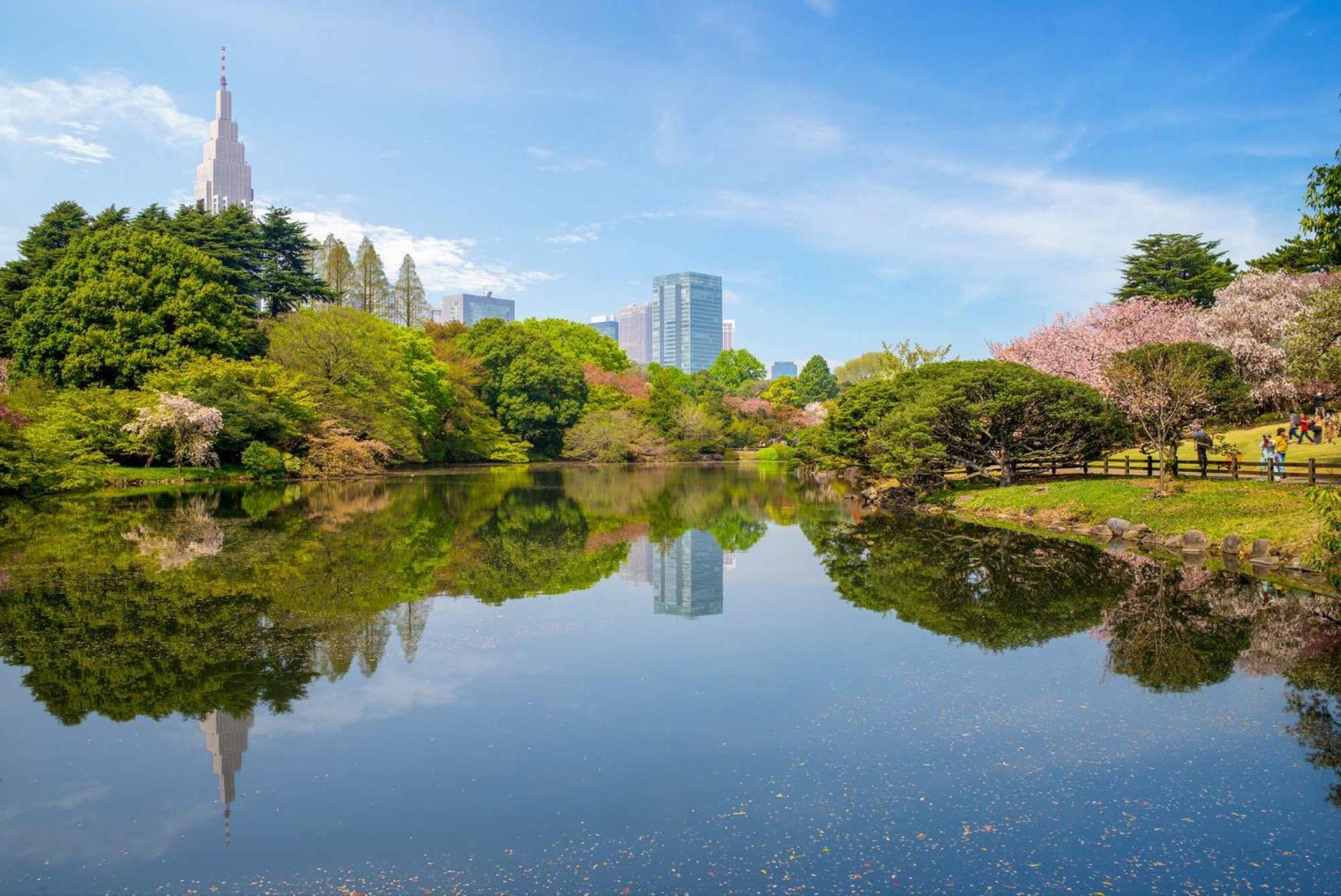 Apartment 新宿区神楽坂近く大空间 Tokyo