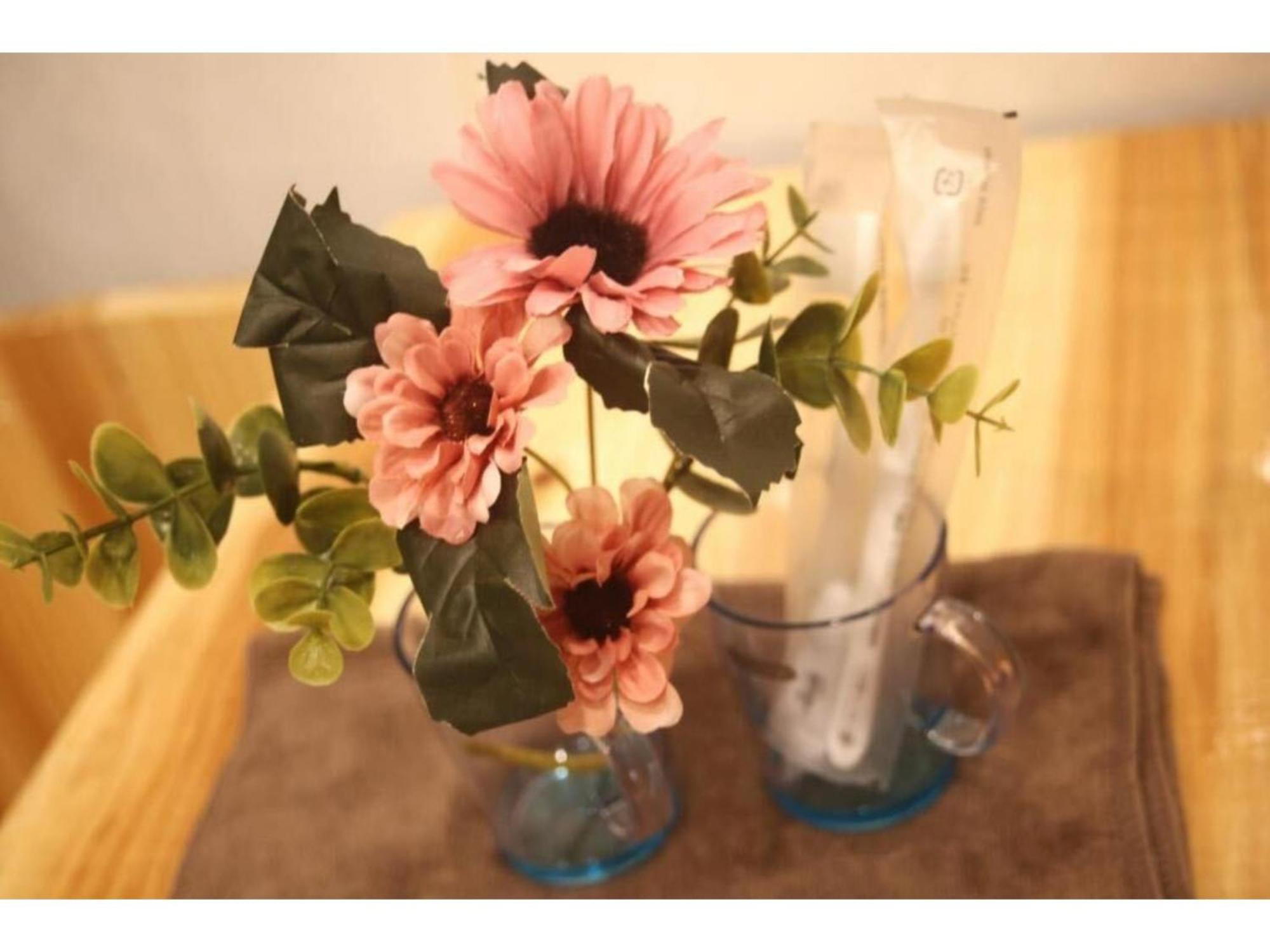Miyavi - Vacation 75556v Guest house
