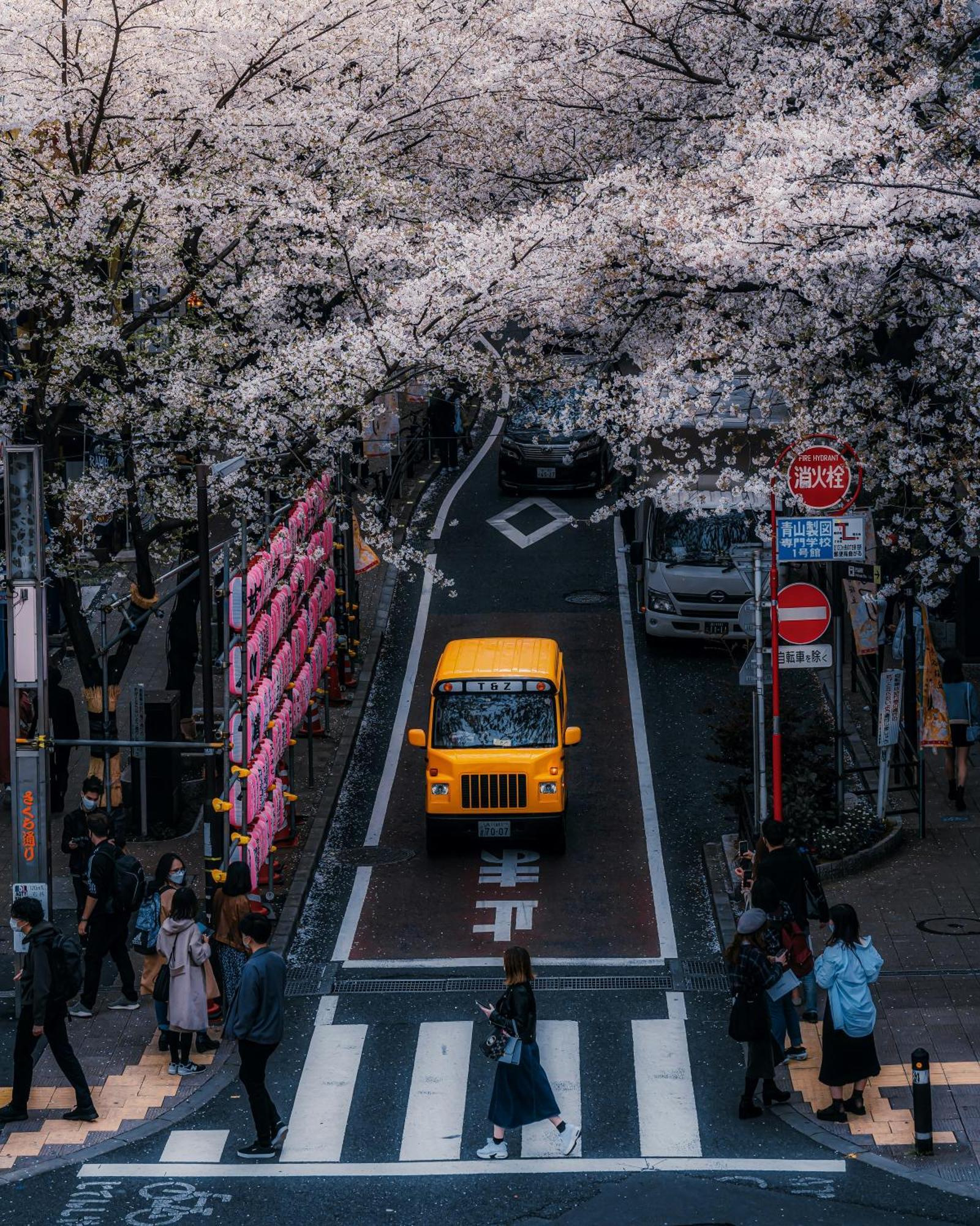 Illi Mani Shibuya Hotel