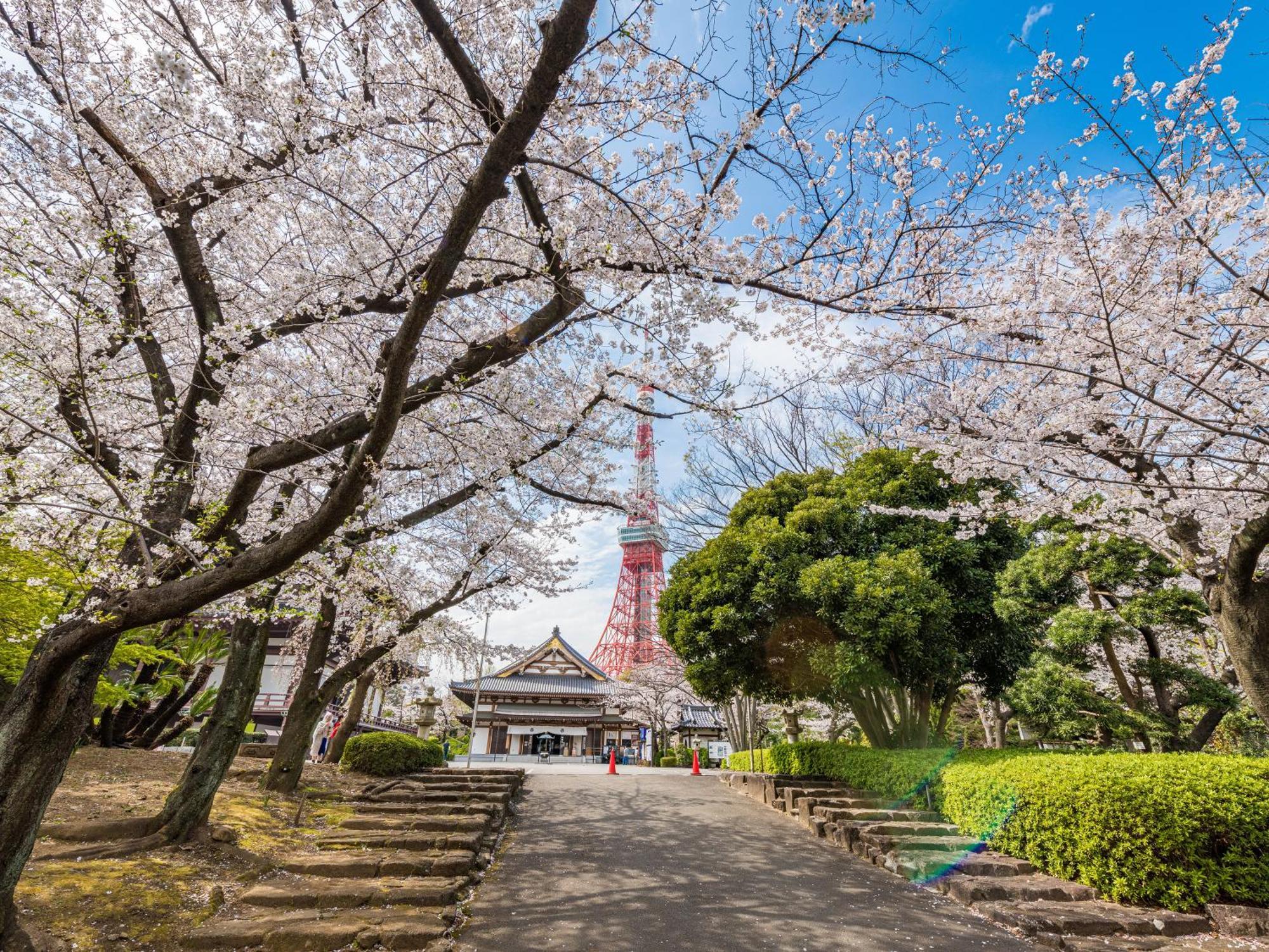 Illi Rom Hamamatsucho Hotel