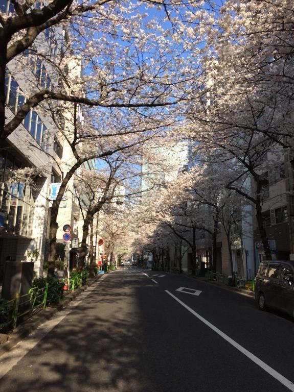 Hotel Belken Tokyo