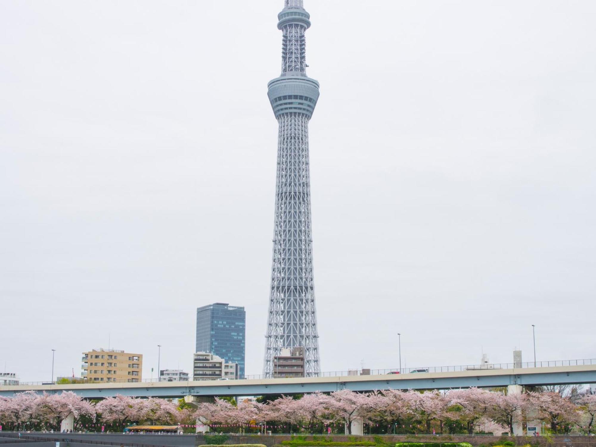 The Samurai * Tokyo
