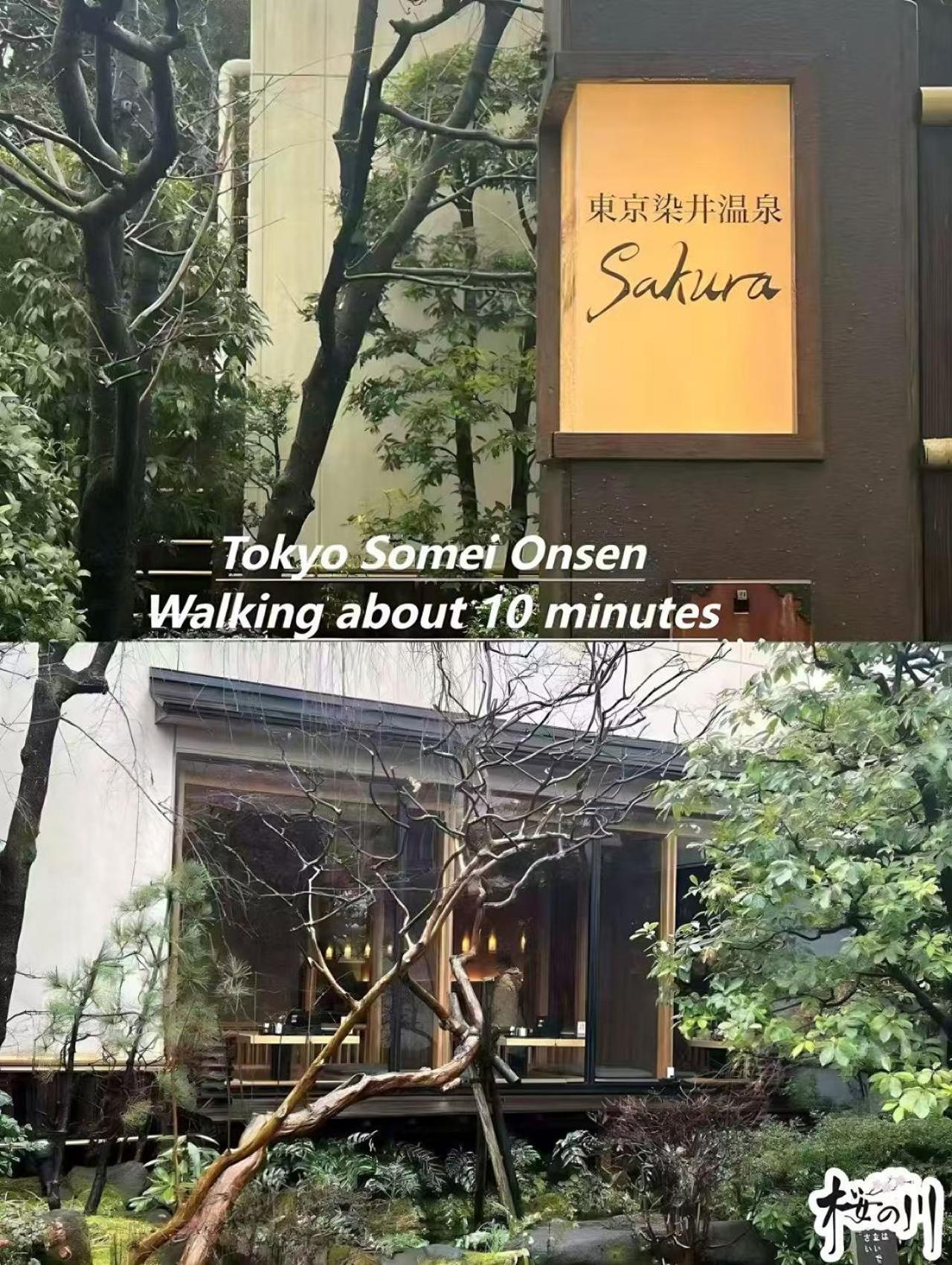 桜の川3 Sugamo Diamond Mansion 105 Direct To Ikebukuro Yamanote Line 5mins Apartment