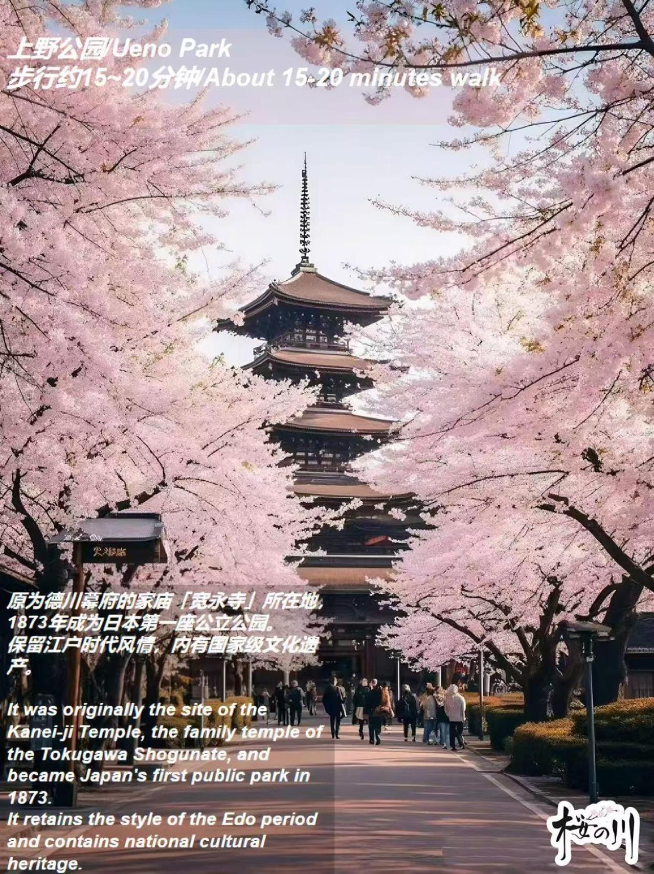 桜の川17 Ueno 5mins Ueno Zoo Three Storey Detached House Then 13 People Tokyo