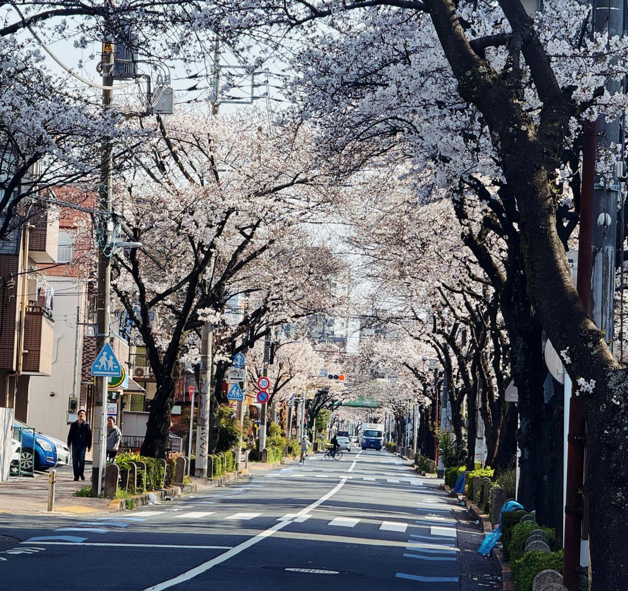 吉屋 Tokyo