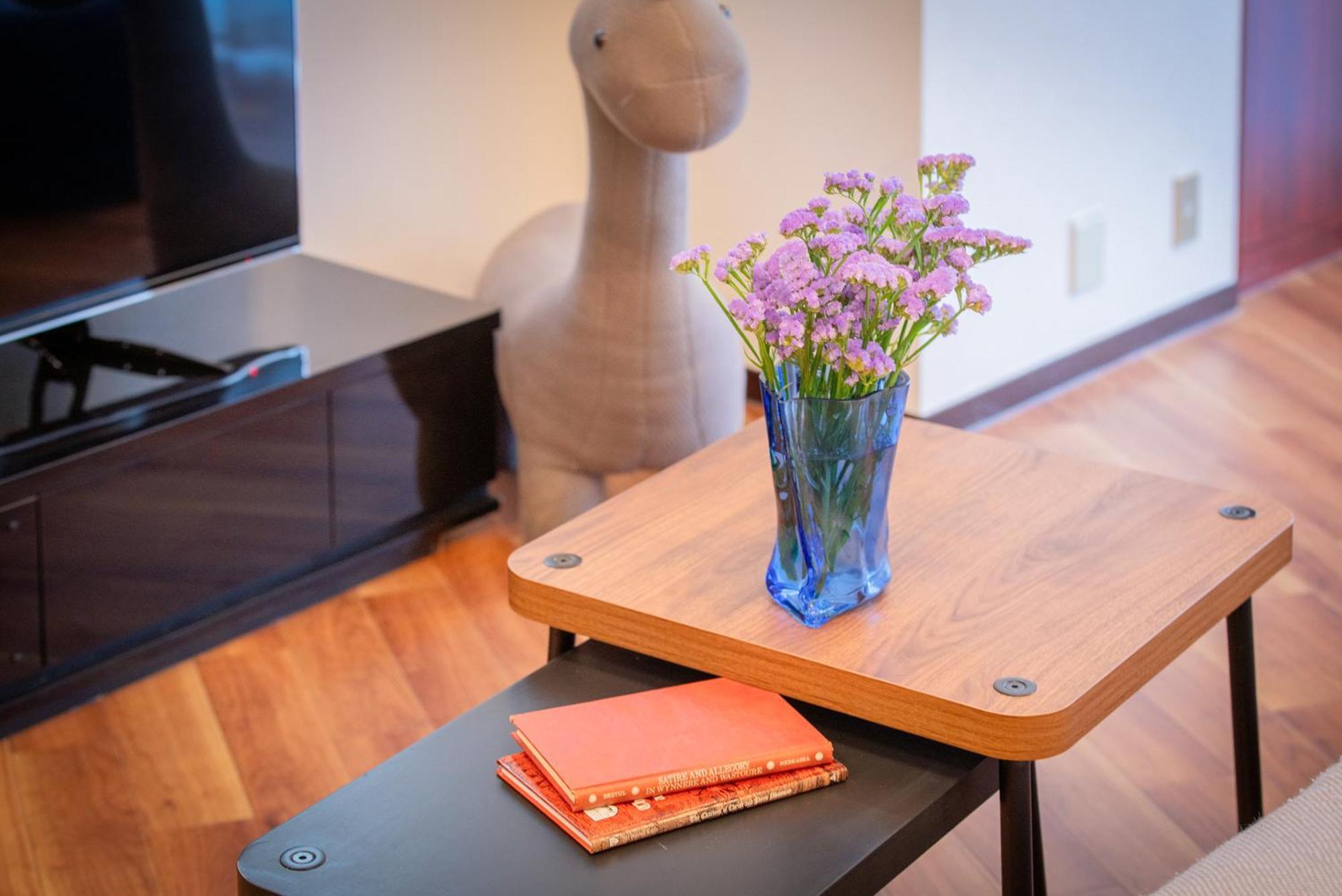 Skyview Serenity Duplex Shinjuku Apartment