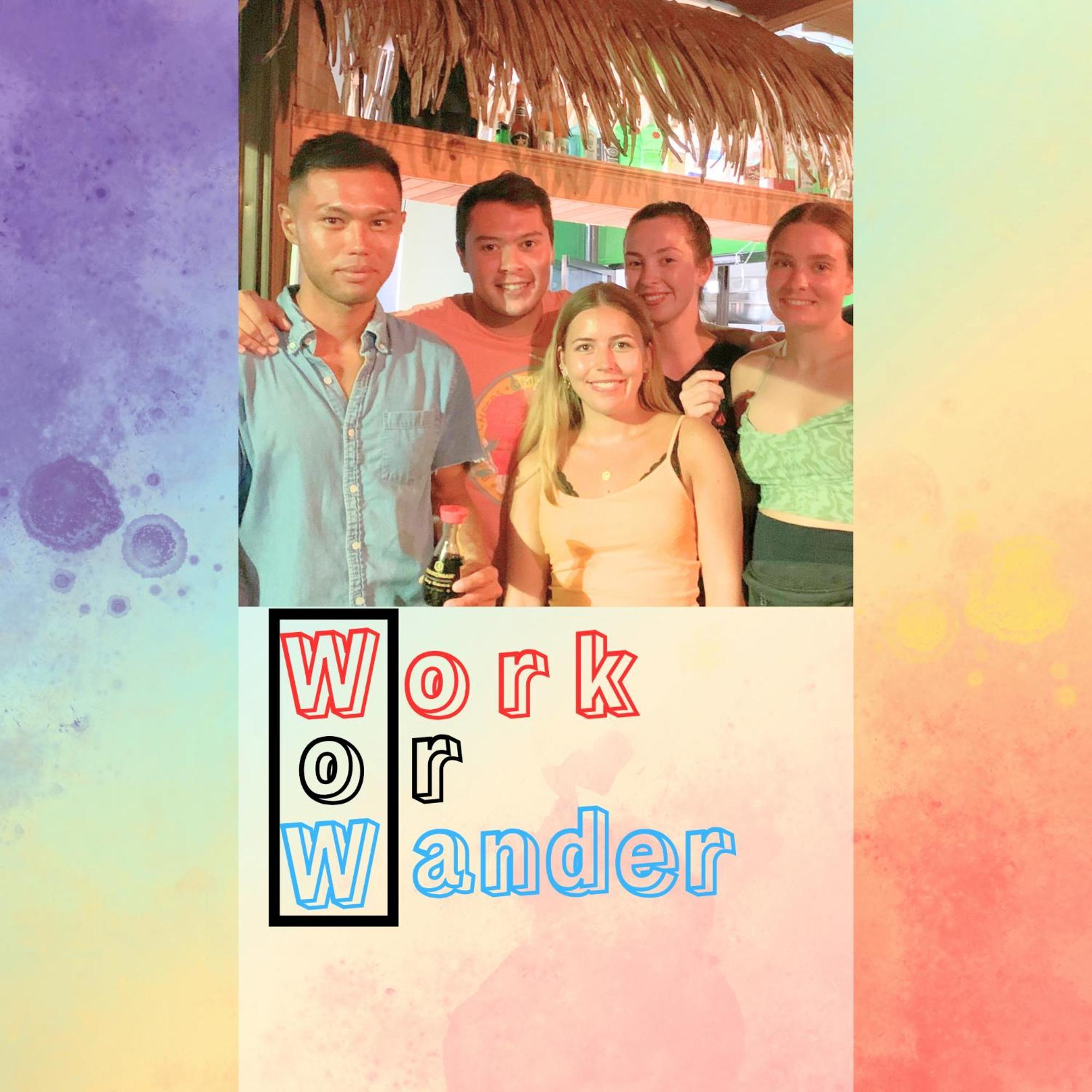 Hostel Work Or Wander