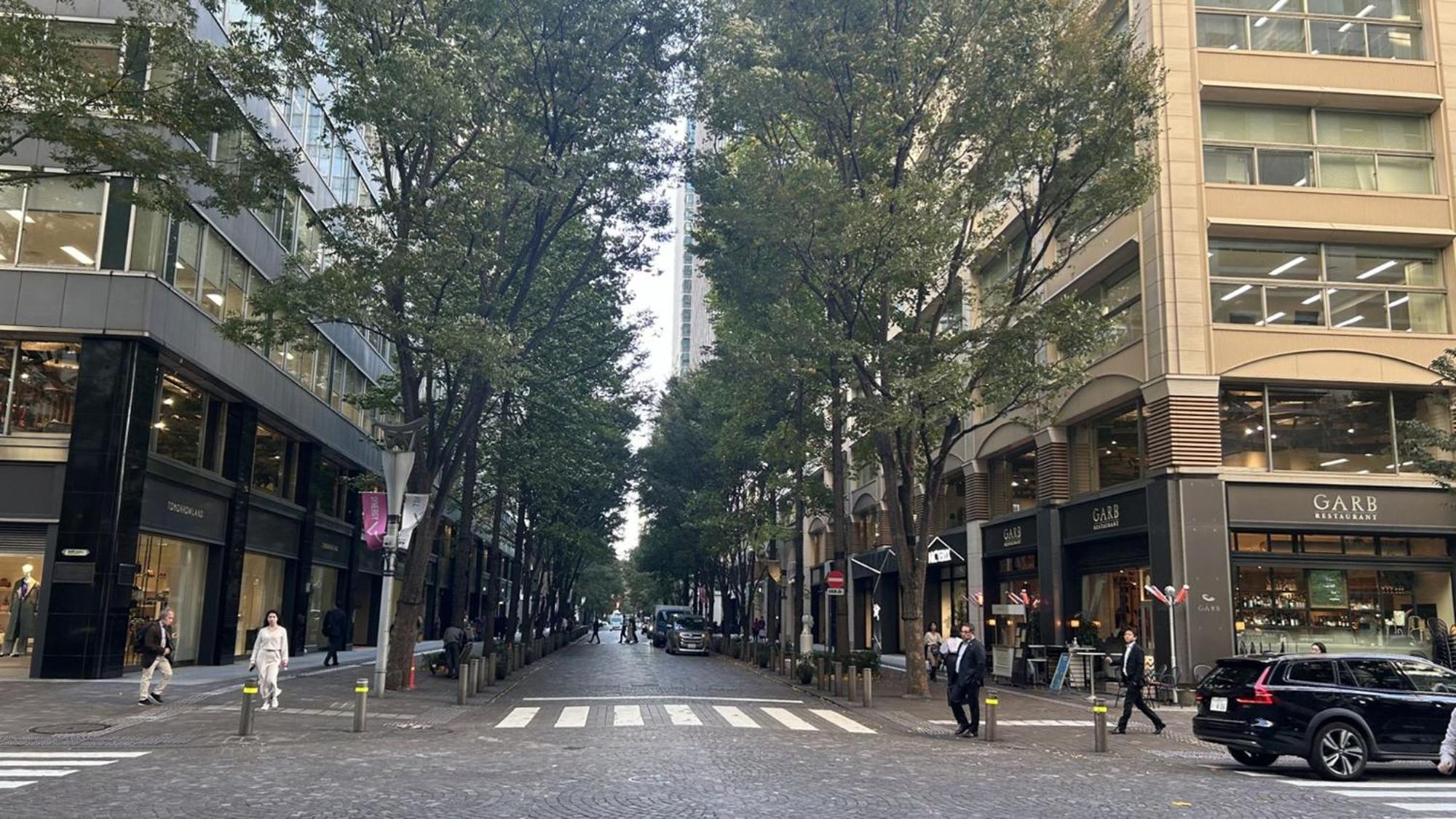 Toyoko Eki Yaesu Kita Guchi Hotel 3*