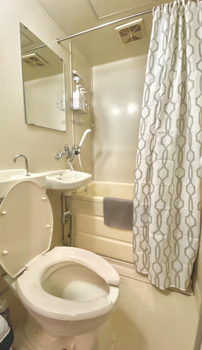 *exquisite Newly Renovated Rom In Very Deeptokyo *